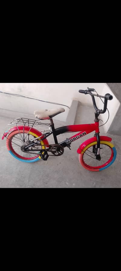 cycle 2 adad small or large