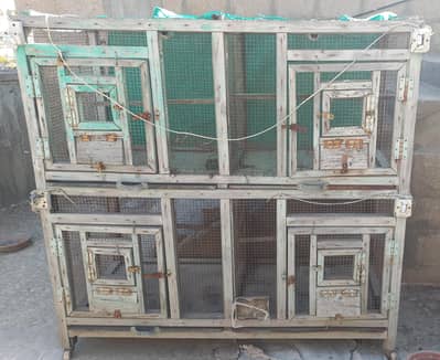 Parrot  Cage & Hen Cage