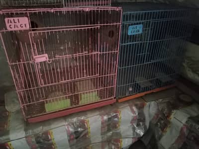 parrots cages and parrot stand