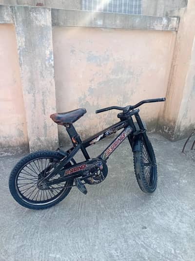 12- springs Bicycle