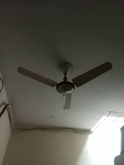 8 fans sale