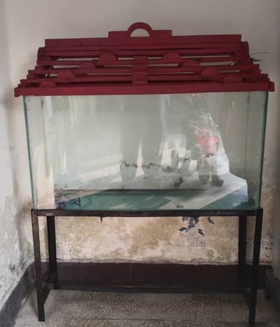Fish Aquarium