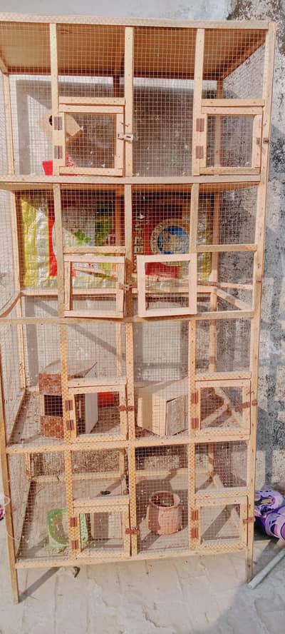 BIRD CAGE|BIRDS CAGE |PINJARA|