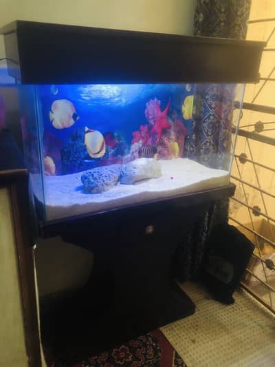 2.6 feet aquarium > Read add
