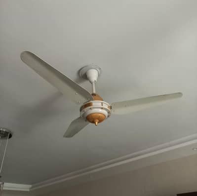 URGENT SALE – 6 Branded Ceiling Fans (Bundle Deal) Excellent Condition