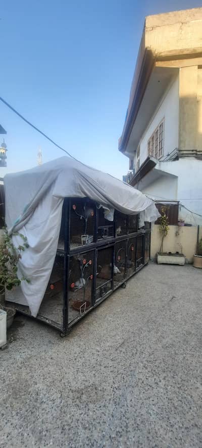 Big birds Cage for sale