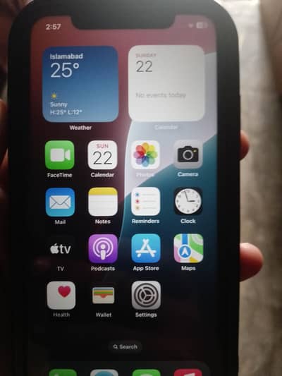 iphone 11 (factory unlock)