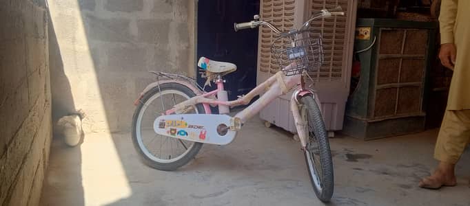 China New bicycle for kids with dual supportive tires  for sale