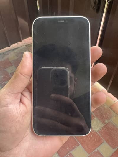 Iphone 12 Non PTA 4 Month Sim Time