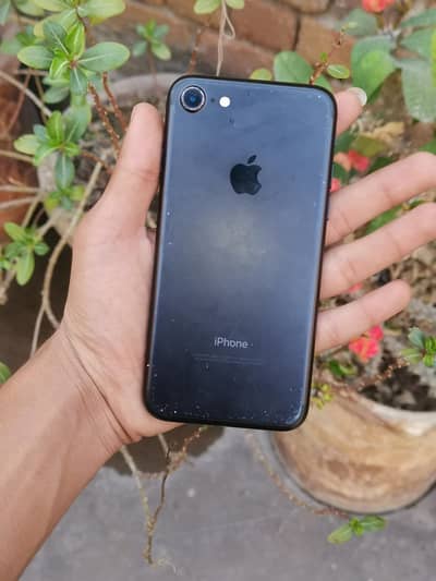 iphone 7 Pta approve