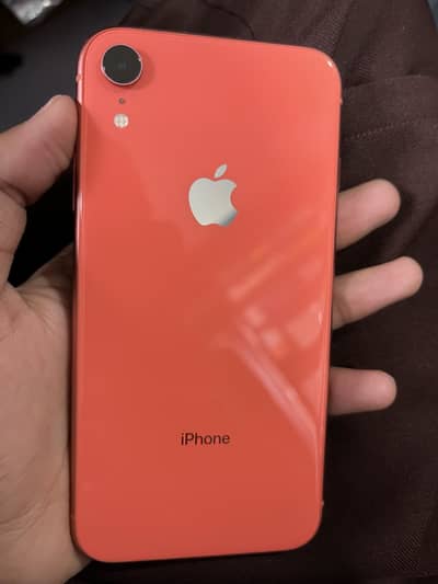 iPhone XR