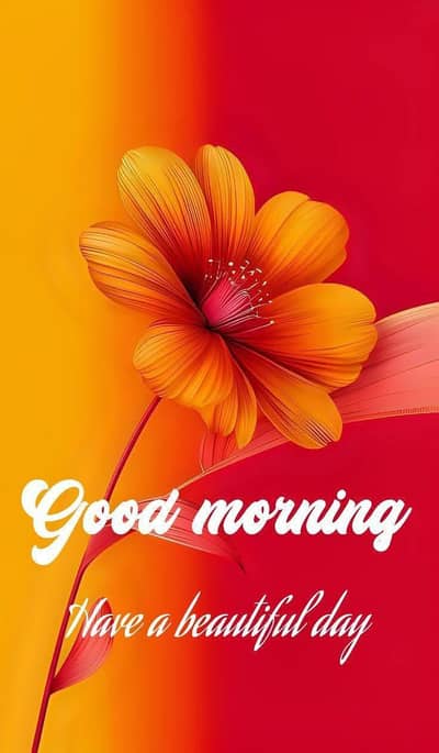 Need a female maid caretaker