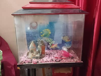 aquarium complete set
