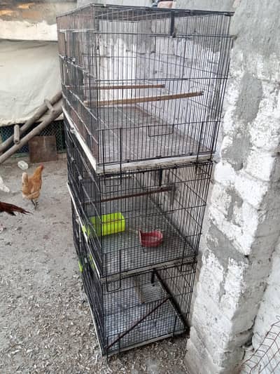 parrots folding cage for sale 3step