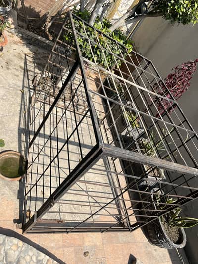 Cage For Sale! (Strong Metal Body)