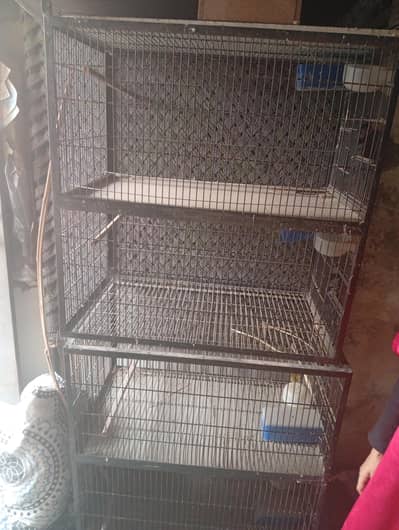 birds cage