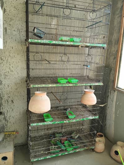 Master Folding cage 12 portions