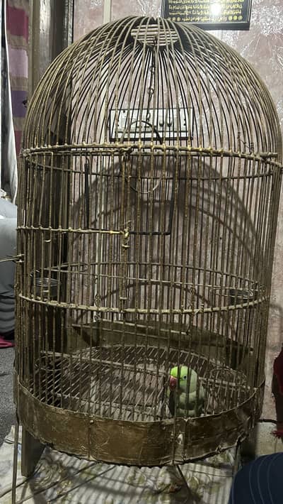 Only 12000 – Large Parrot Cage Urgent Sale!