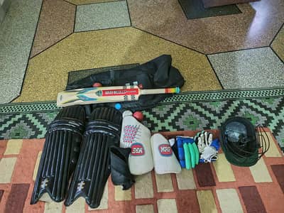 hard ball cricket kit all items.