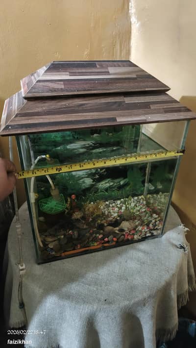 aquarium with motor bubble sticks 2 molly fish 4 baby's