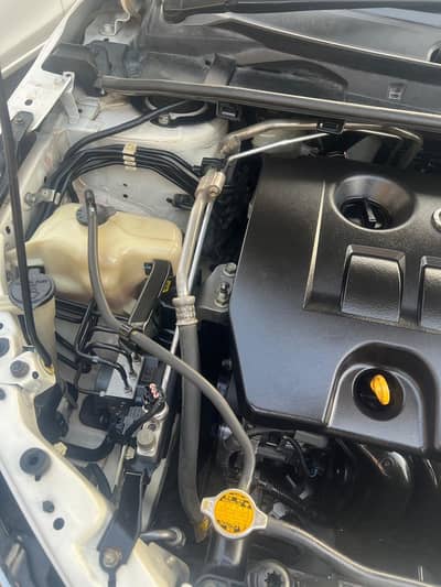 only call telenor namber