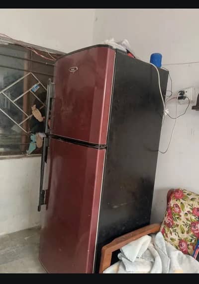 Haier fridge full size