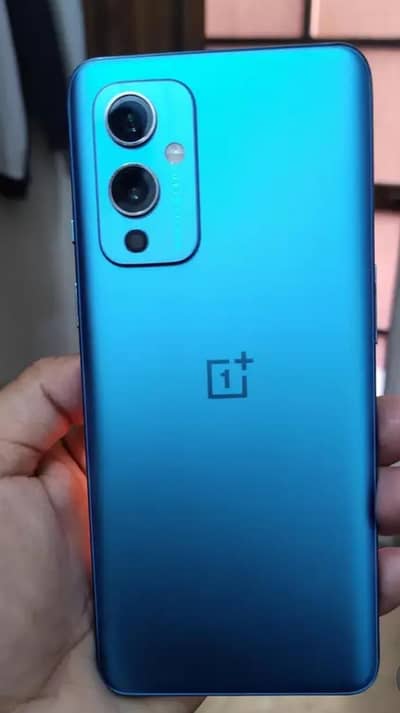 what's ap contact 03003468349