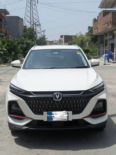 totally janwan paint