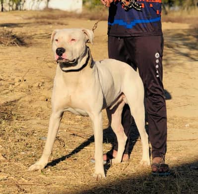 For sale location gujrkhan