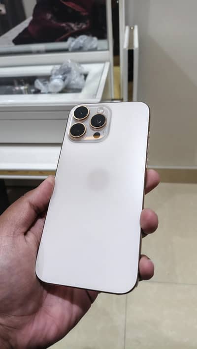 16 pro max physical dual