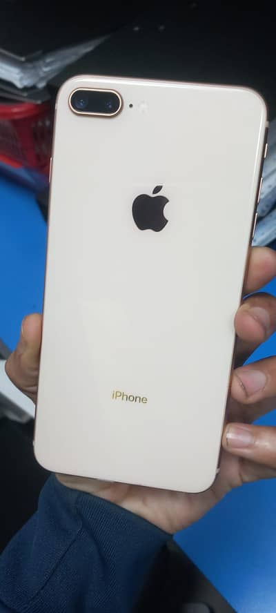 golden colour 10/10 fresh piece