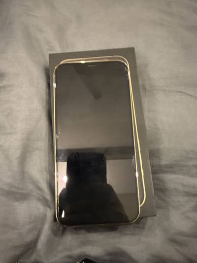 iPhone 12 Pro Max pta approved