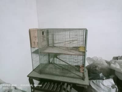 Parrot Cage