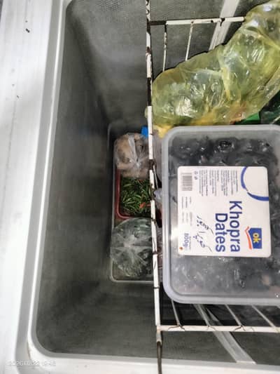 deep freezer inverter