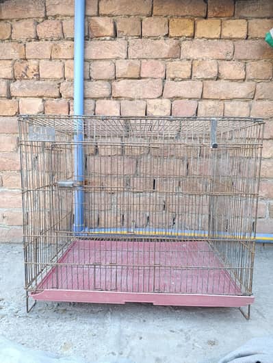 cage | hen cage | parrot cage | iron cage 03096360200