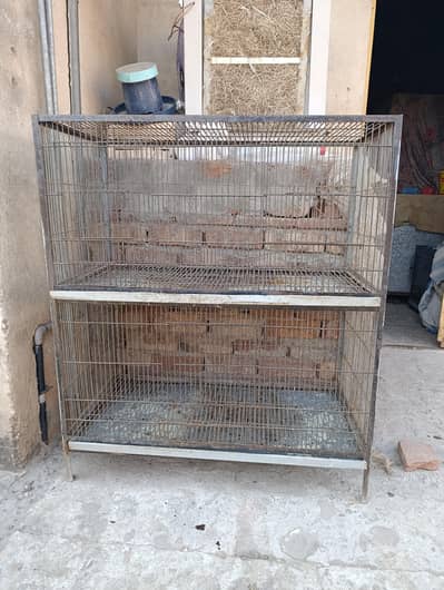 cage | hen cage | parrot cage | iron cage 03096360200