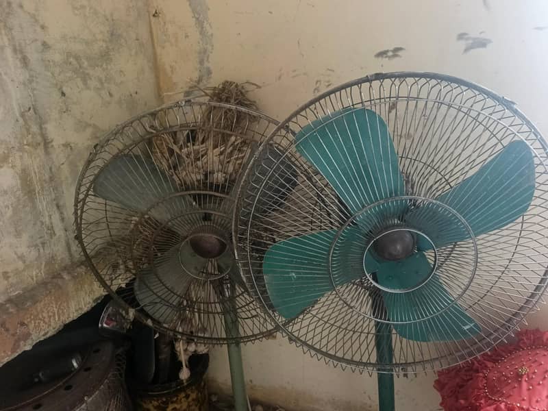 Two Fans 0