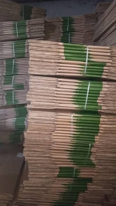 Need chef for pvt ltd company