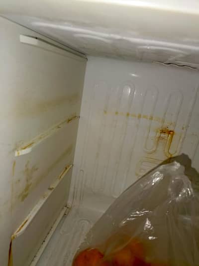 urgent for Shel. wht sb number. 03055527034.03110501545