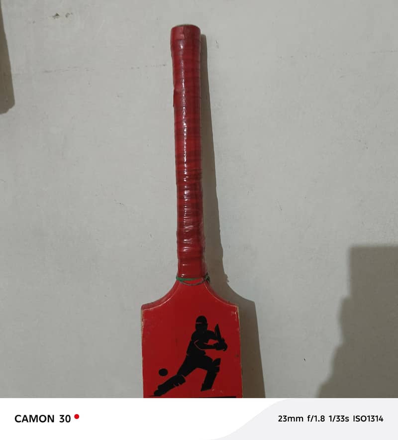 cricket bat 3