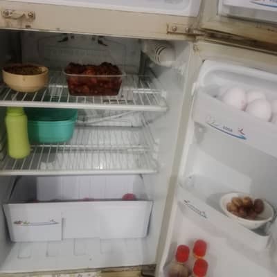 Full size refrigerator