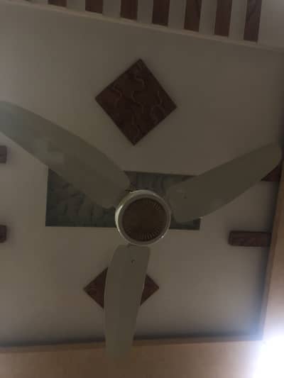 GFC home Celling fan
