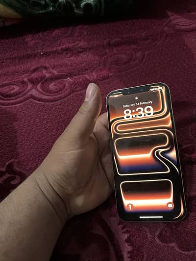 Penal change hy pta approved