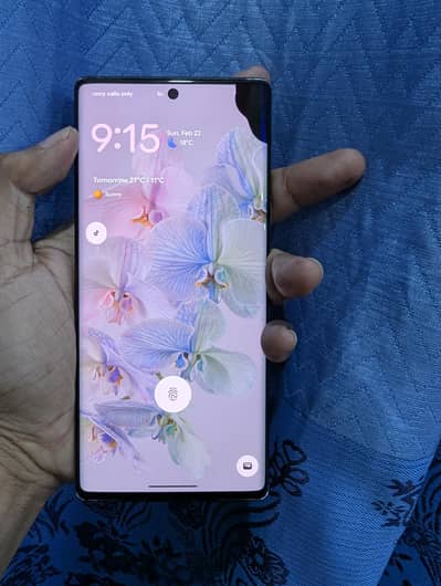 Google Pixel 6 Pro 12/256