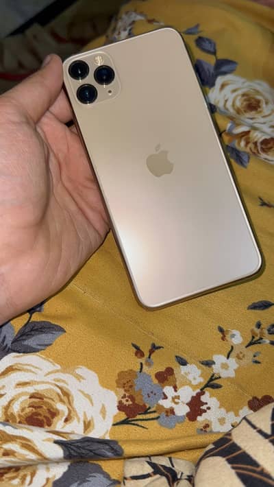 Iphone 11 Pro Max 256Gb
