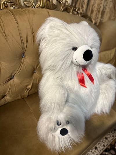  Large Premium Teddy Bear for Sale – Like New!