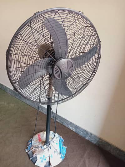 Pedestal Fan