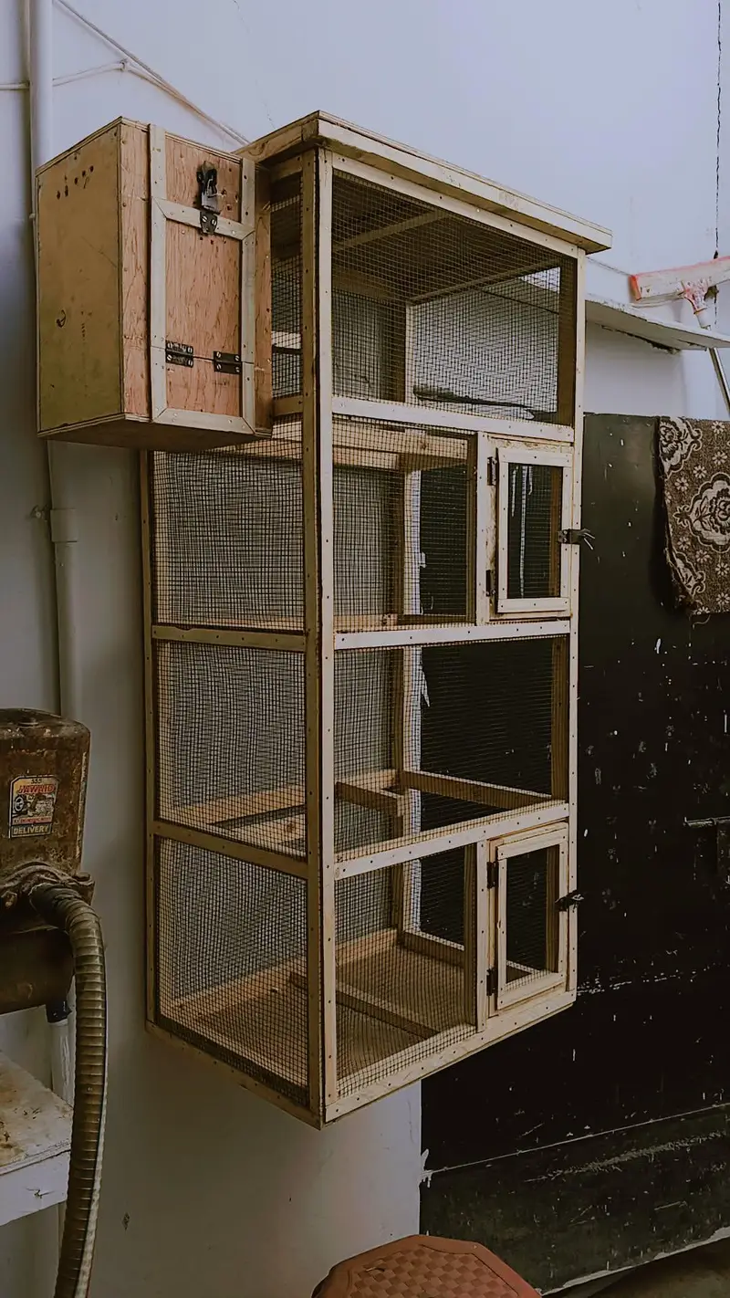Cages — photo 2