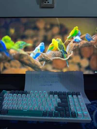 Dell P2319H 23-inch BorderLess IPS panel Monitor.