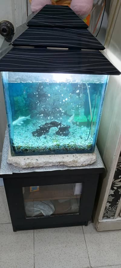Aquarium with 2 fish and filters